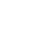 الاسكان التنموي